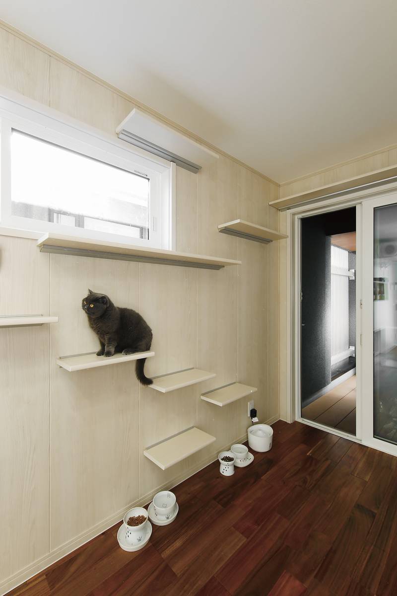 キャットウォークを上ると猫専用のくつろぎスペースが。猫だけでのんびりしたい時に使ってもらっています。